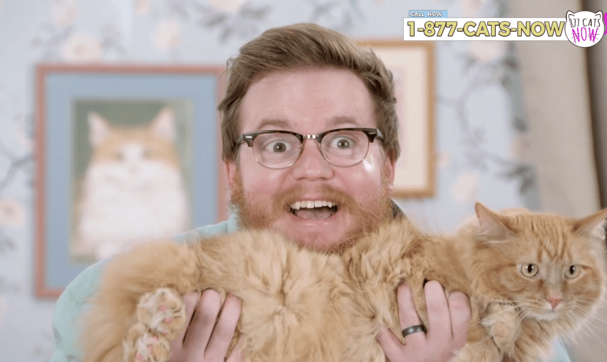 Cat Commercial